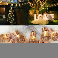 10 LED Ampoules guirlandes Fée Lampe Patio Partie Jardin Jardin De Mariage Décoratif Maison Lumière De Nuit