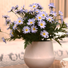 10 PCS / Artificielle 9 Têtes Coréenne Petite Marguerite Fleurs Ameublement Décorations De Style De Jardin