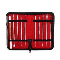 10 pièces / ensemble nouvel équipement de laboratoire dentaire ensemble doutils de sculpture sur cire dentaire Inst