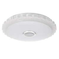 100-240V LED plafonnier avec changement de haut-parleur bluetooth lampe de musique à intensité variable pour télécommand