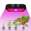 1000W 85-265V spectre complet LED lumière de croissance des plantes réglable pour les légumes des plantes dintérieu
