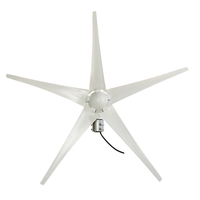 1000W Peak 12V / 24V Wind Turbine 5 Blade Générateur de vent Turbine Wind Turbine Avec Contrôleur