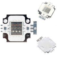 10W LED COB RGB lampe puce puce Diodes intégrées DIY DC6-12V pour Flood Light