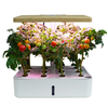 110-240V Intérieur Intelligent Hydroponique Plantation Boîte Équipement De Culture Sans Sol LED Remplir Lumière Légume P