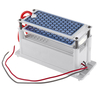 110V220V 10g / h Générateur dozone Machine de désinfection de puissance Formaldéhyde Revêtement dodeur Purific