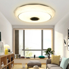 114LED Musique Plafonnier + Télécommande Chambre Salon Étude AC180-265V