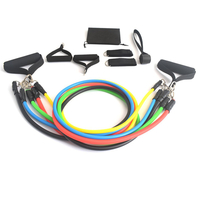 11PCS Bandes de résistance Set Bandes dexercice Jambes Sangles de cheville pour la formation de résistance Physioth