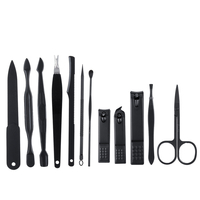 12 pcs En Acier Inoxydable Pédicure Coupe-ongles Set Professionnel Manucure Beauté Outils Kit Cuticule Eagle Crochet Pin