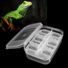 12 Reptiles oeufs incubateur plateau Gecko serpent oiseau amphibiens étui à couver boîte à outils délevage