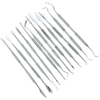 12 Type poussoir à ongles en acier inoxydable Double face agitation vernis poudre dissolvant cuticule nettoyant spatules