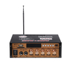 12 V 220 V Mini amplificateur de puissance haut-parleur amplificateur de puissance carte U disque radio