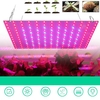169/81 LED La plante élève la lampe hydroponique intérieure de fleur végétale à spectre complet léger 85-265V