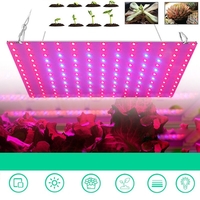 169/81 LED La plante élève la lampe hydroponique intérieure de fleur végétale à spectre complet léger 85-265V