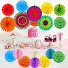 19 pcs papier de soie Pom Poms boules de fleurs pompon pour la fête de mariage maison bébé douche décorations