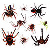 1pcs cravate dtatouage temporaire à lépreuve de la terreur de laraignée Halloween