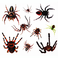1pcs cravate dtatouage temporaire à lépreuve de la terreur de laraignée Halloween