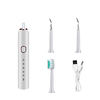 2 en 1 dissolvant de calcul dentaire électrique brosse à dents sonique blanchiment par ultrasons cinq vitesses nettoyeur