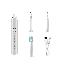 2 en 1 dissolvant de calcul dentaire électrique brosse à dents sonique blanchiment par ultrasons cinq vitesses nettoyeur