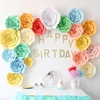 2 Pcs Papier Géant Rose Fleur 20 cm DIY Toile de Fond Mur De Mariage Fête Danniversaire Décorations