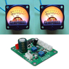 2 Pcs VU-Mètre Rétro-Éclairage Chaud Enregistrement Amplificateur de Niveau Audio avec Module de Pilote