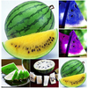 20pcs pastèque multi-couleur chair magique jardin graines été cool fruit ferme de la ferme paysage