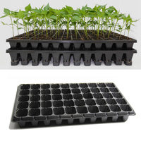 21 32 50 Graines de Fleurs Légumes Plateau Croissante Plaque Pépinière de Semis