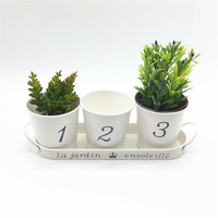 3 pièces/ensemble seau en fer Pot de fleur plateau petits Pots herbes planteur jardin fenêtre Pots