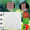 300W Full Spectrum LED élèvent la lampe légère de la plante AC90V-265V pour la culture hydroponique