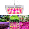 300W LED élèvent le panneau médical de lampe dusine de fleur de spectre de plein spectre léger de lumière