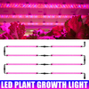 30/50cm LED élèvent la lumière spectre complet lampe de plante dintérieur Tube ampoule barre lumineuse pour plante