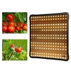 30cmx30cm Spectrum 256 LED élèvent la lampe de plus en plus légère pour la plante à fleurs hydroponique