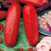 30Pcs Graines de Concombre Rouge Graines de Légumes de Fruits Rare Plante Bonsai Jardin Familial