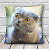 3D mignon expressions chats jettent des taies doreiller cadeau de couverture de coussin de voiture de bureau de can