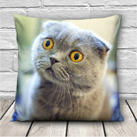 3D mignon expressions chats jettent des taies doreiller cadeau de couverture de coussin de voiture de bureau de can