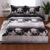 3D Literie Imprimer Literie Ensembles De Literie Couette Housse De Couette Taie Doreiller Décor
