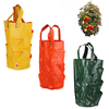 3GAL planteur sacs de croissance pour pomme de terre fraise sac de plantation de légumes boîte de compost organique