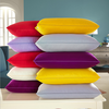 46X72cm oreiller de microfibre ultra douce avec l