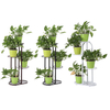 4 couches de fer fleur stand Pot plante présentoirs étagères support jardin décoration de la maison