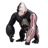 4D MASTER STEM Science Assemblée 4D Vision Gorilla Modèle Médical 29 Pièces DIY Jigsaw Puzzle Jouets