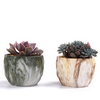 4pcs / set céramique style pierre naturelle fleur succulente pot jardin décor