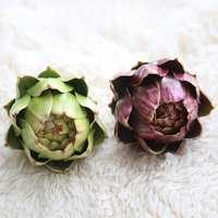 50 pièces Egrow graines dartichaut violet vert romagne héritage légume biologique pour cuisine maison Art décor