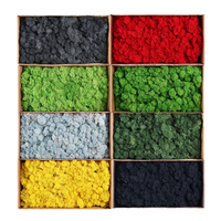 500g mousse de renne norvégienne naturelle conservée artisanat séché préservation fleur fée décorations bricolage