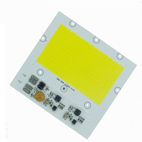 50W 100W DIY COB LED Perle à bulle lumineuse pour projecteur d