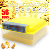 56 incubateur doeufs automatique contrôle de température de poulet à couver numérique US/EU/UK Plug