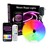 5m 10m Smart Neon Strip RGB LED Neon Light Strip Kit IP67 Waterproof24V 12W/M Ra92 Flexible LED Strip APP & Remote Con