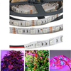 5M 3: 1/4: 1/5: 1 Rouge: Bleu 5050SMD 300LED Non-imperméable à l