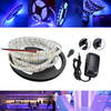 5M UV SMD2835 395-405NM Purple 300 LED imperméable à la lumière + connecteur DC + alimentation 12V