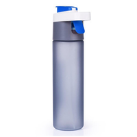 600ML bouteille d