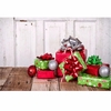 7x5FT photographie fond vinyle cadeau de noël bois Studio toile de fond 2.1x1.5m