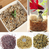 80g DIY Micro Paysage Mini Pierre Décoration Jardin Plantes Succulentes Pot De Fleur Décor